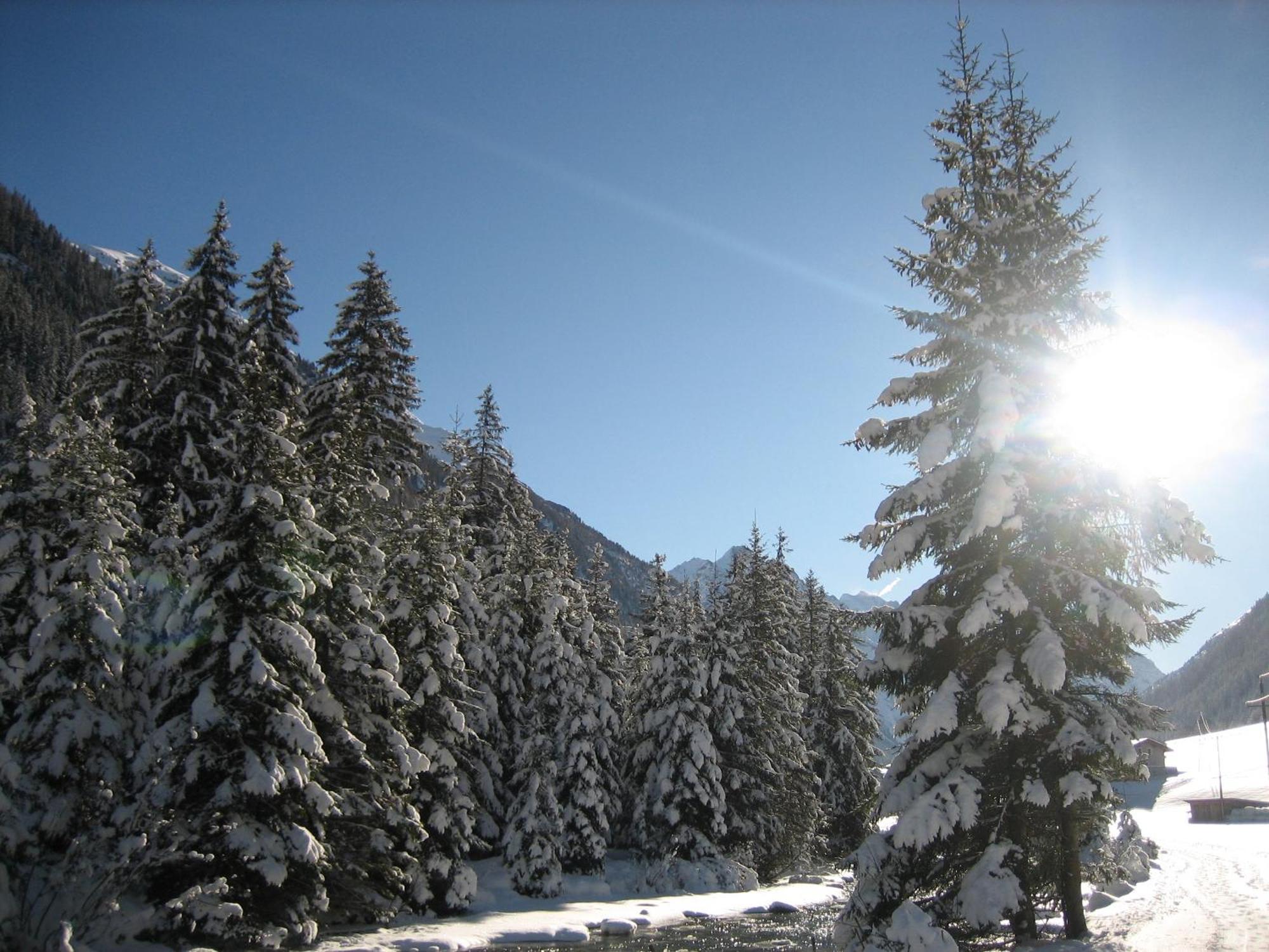 Apart Arve Sankt Leonhard im Pitztal Exterior foto